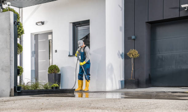 Pre-Holiday Cleaning in Moorpark, CA
